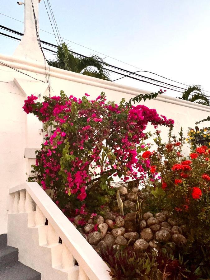 The Villa At Pineapple Cove Boscobel Buitenkant foto